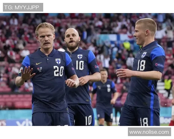 波兰与爱尔兰激战欧洲杯小组赛精彩回顾与分析 波兰与爱尔兰激战欧洲杯小组赛精彩回顾与分析