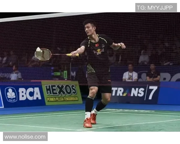 谌龙与索尼精彩对决视频下载全攻略分享与观看体验分析