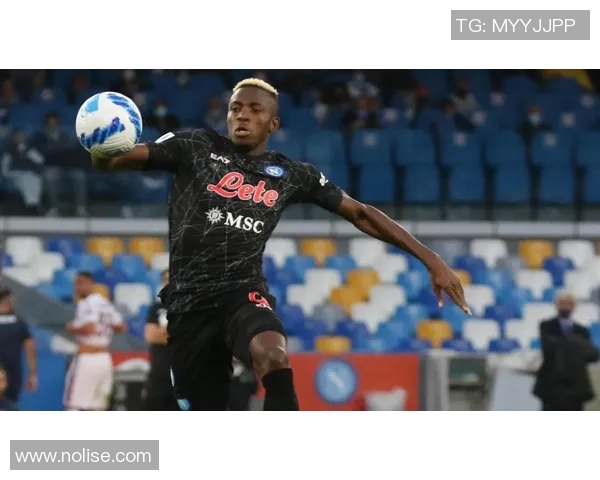 尼尔利亚与南非激战正酣谁能在这场较量中脱颖而出